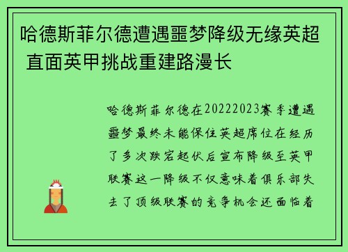 哈德斯菲尔德遭遇噩梦降级无缘英超 直面英甲挑战重建路漫长